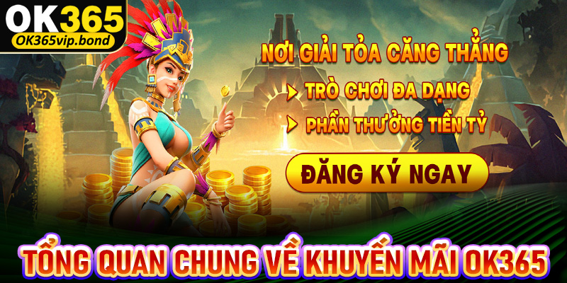 Tổng quan chung về chính sách khuyến mãi OK365