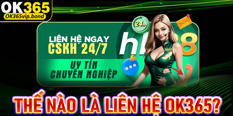 Thế nào là dịch vụ hỗ trợ, liên hệ OK365?